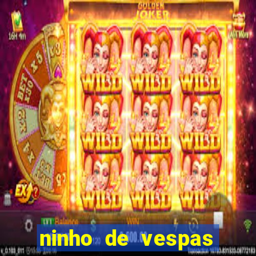 ninho de vespas significado espiritual